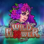 Wild Flower